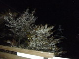 img0056.jpg