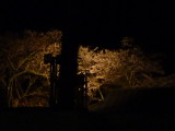 img0060.jpg