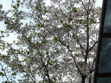 img0001.jpg