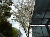 img0003.jpg