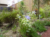 img0005.jpg
