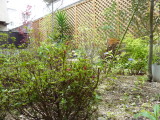 img0006.jpg