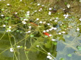 img0007.jpg
