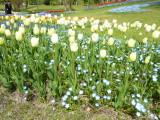 img0008.jpg