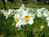 img0011.jpg