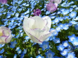 img0019.jpg