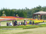 img0026.jpg