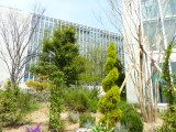img0027.jpg