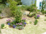 img0028.jpg