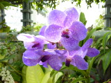 img0031.jpg