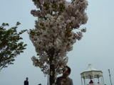 img0039.jpg