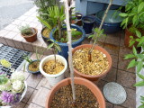 img0042.jpg