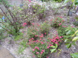 img0001.jpg