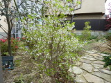img0003.jpg