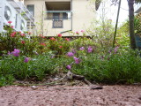 img0004.jpg