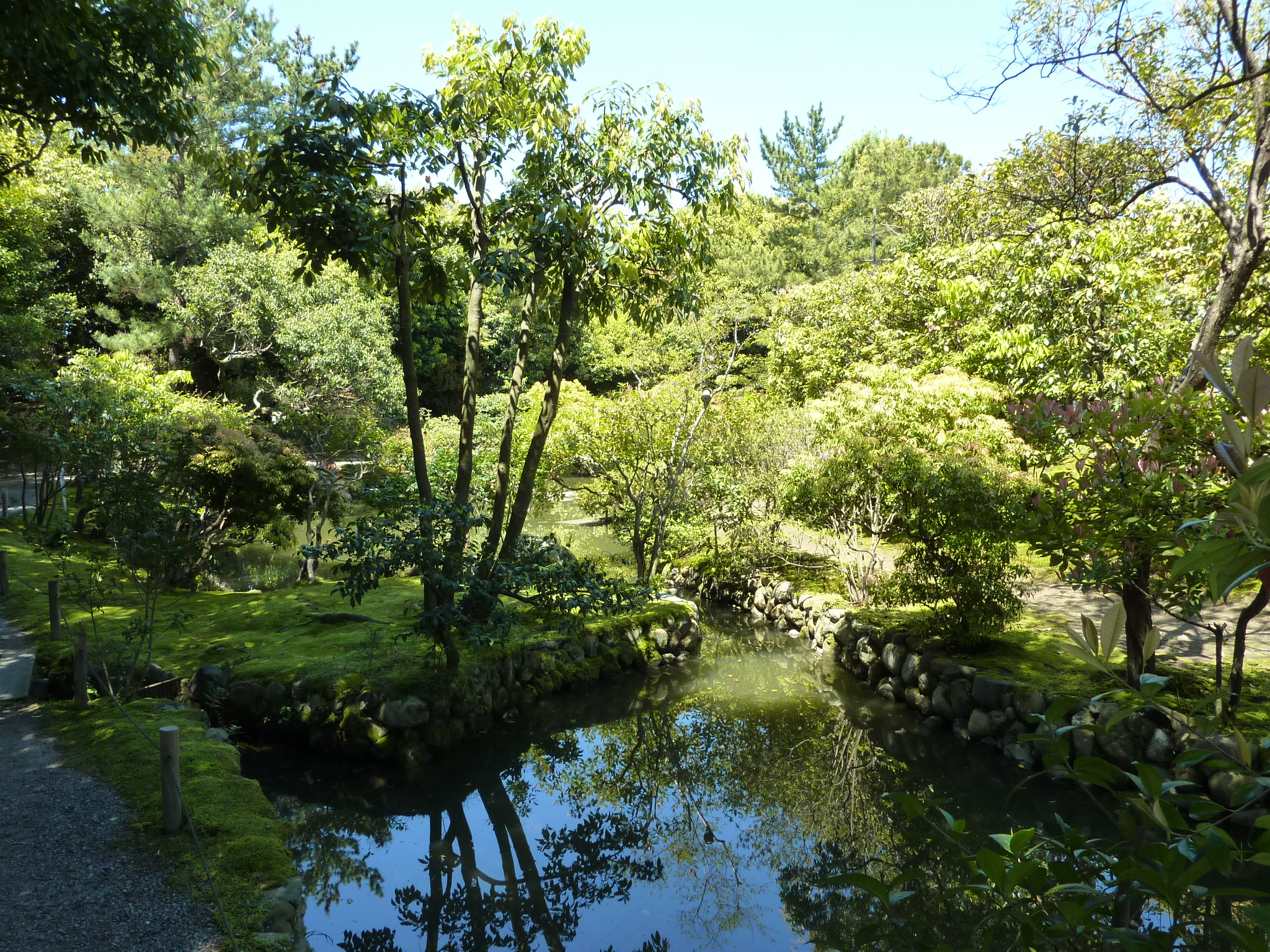 P1030358.JPG