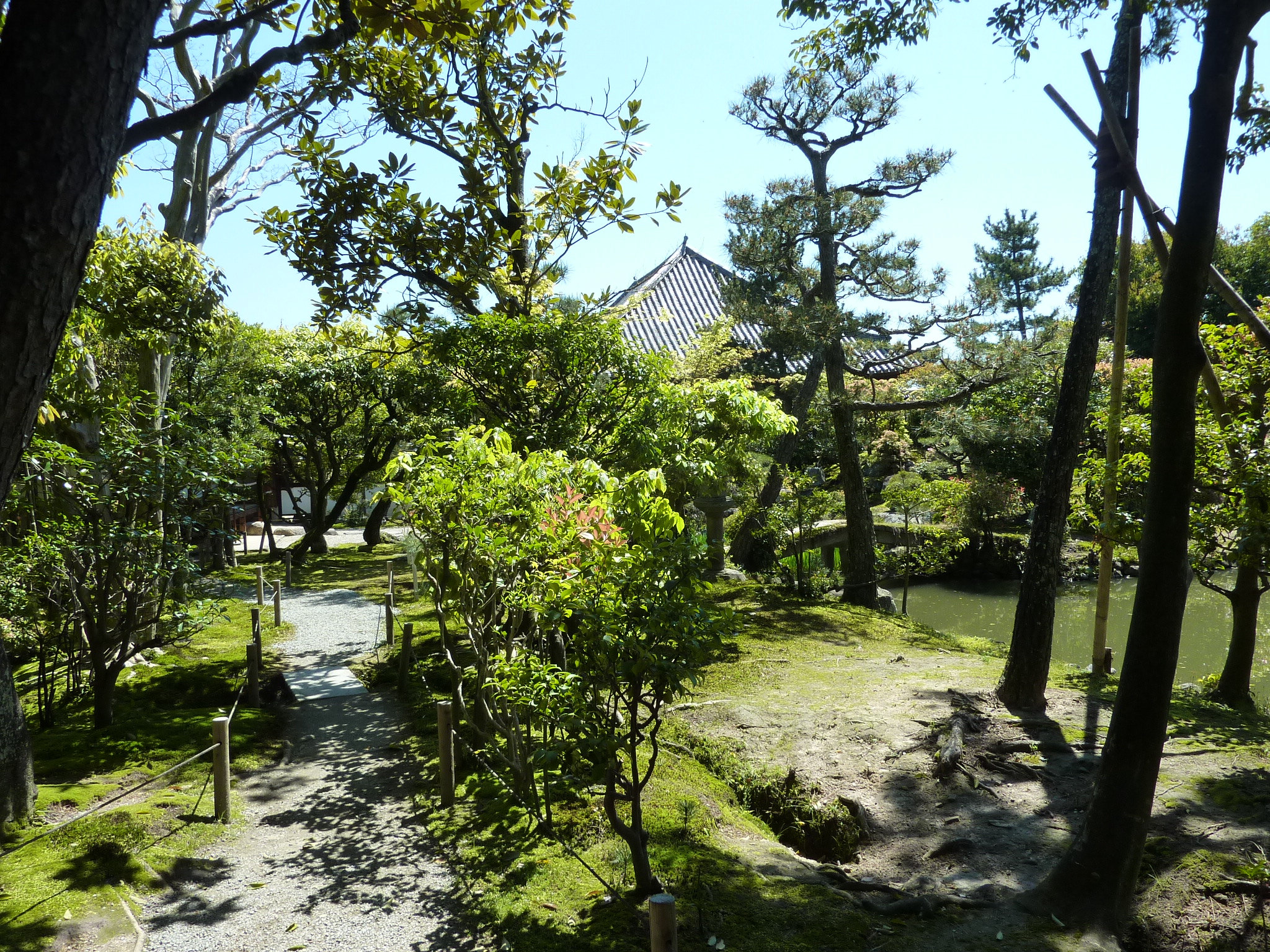 P1030359.JPG