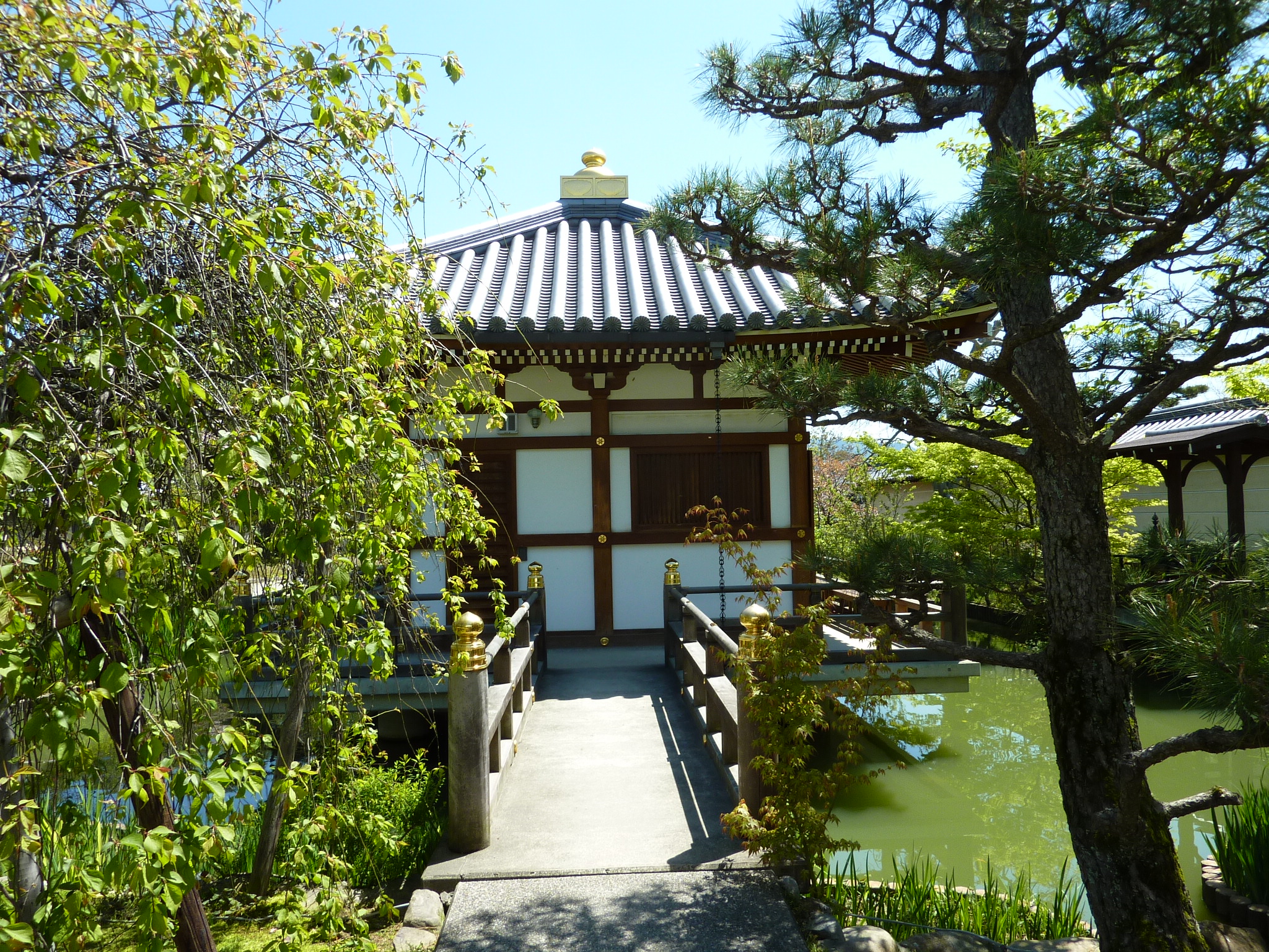 P1030361.JPG