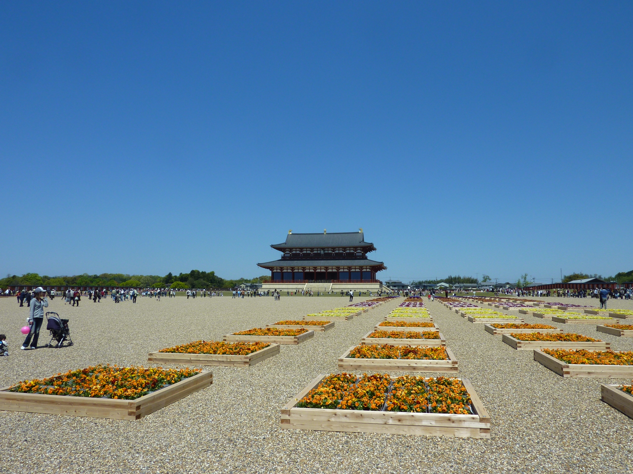 P1030369.JPG