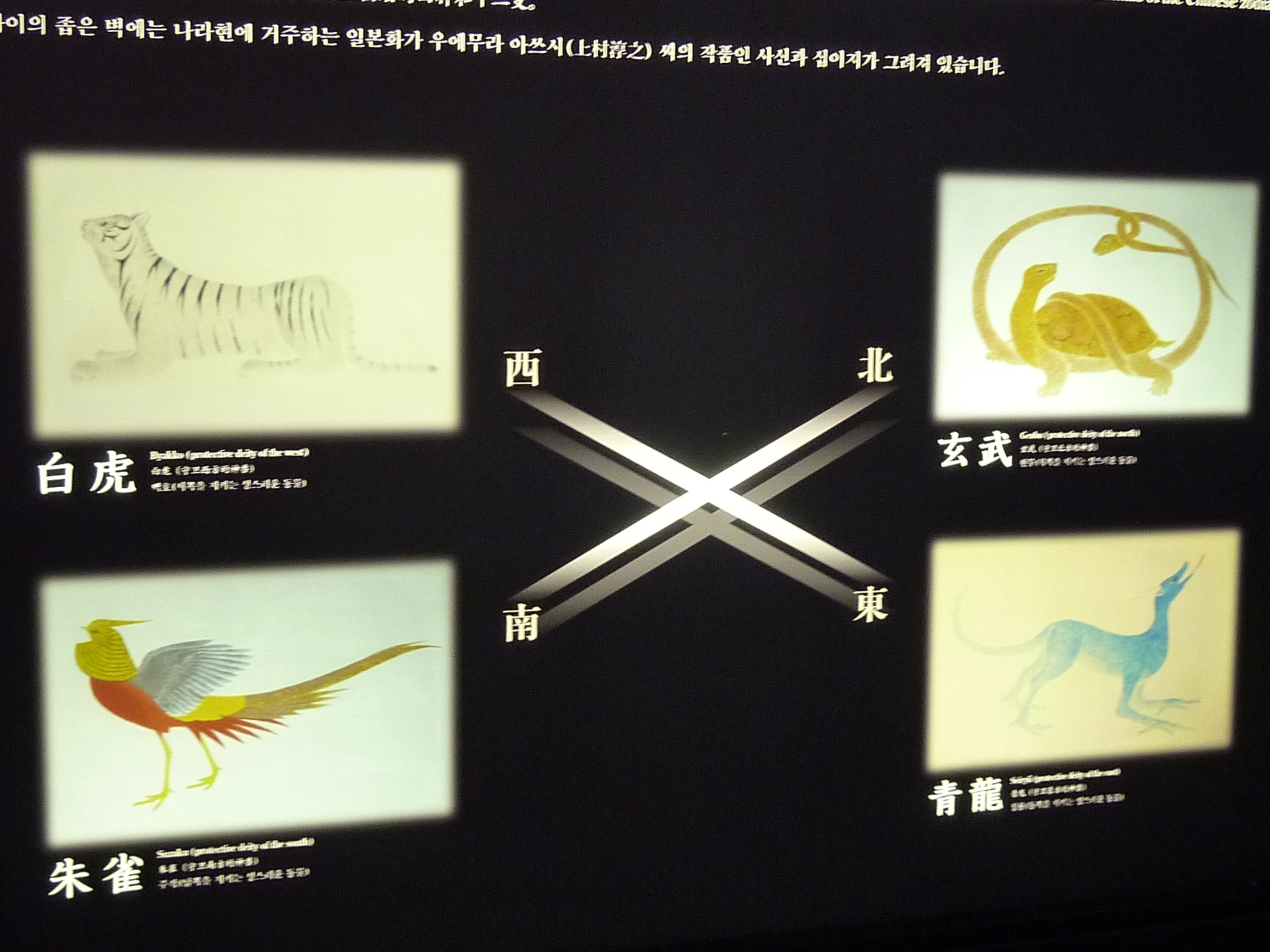 P1030389.JPG