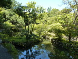 img0007.jpg