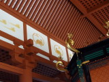 img0031.jpg