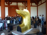 img0051.jpg