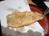 img0029.jpg