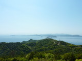 img0009.jpg