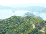 img0010.jpg