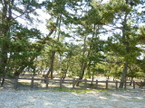 img0021.jpg