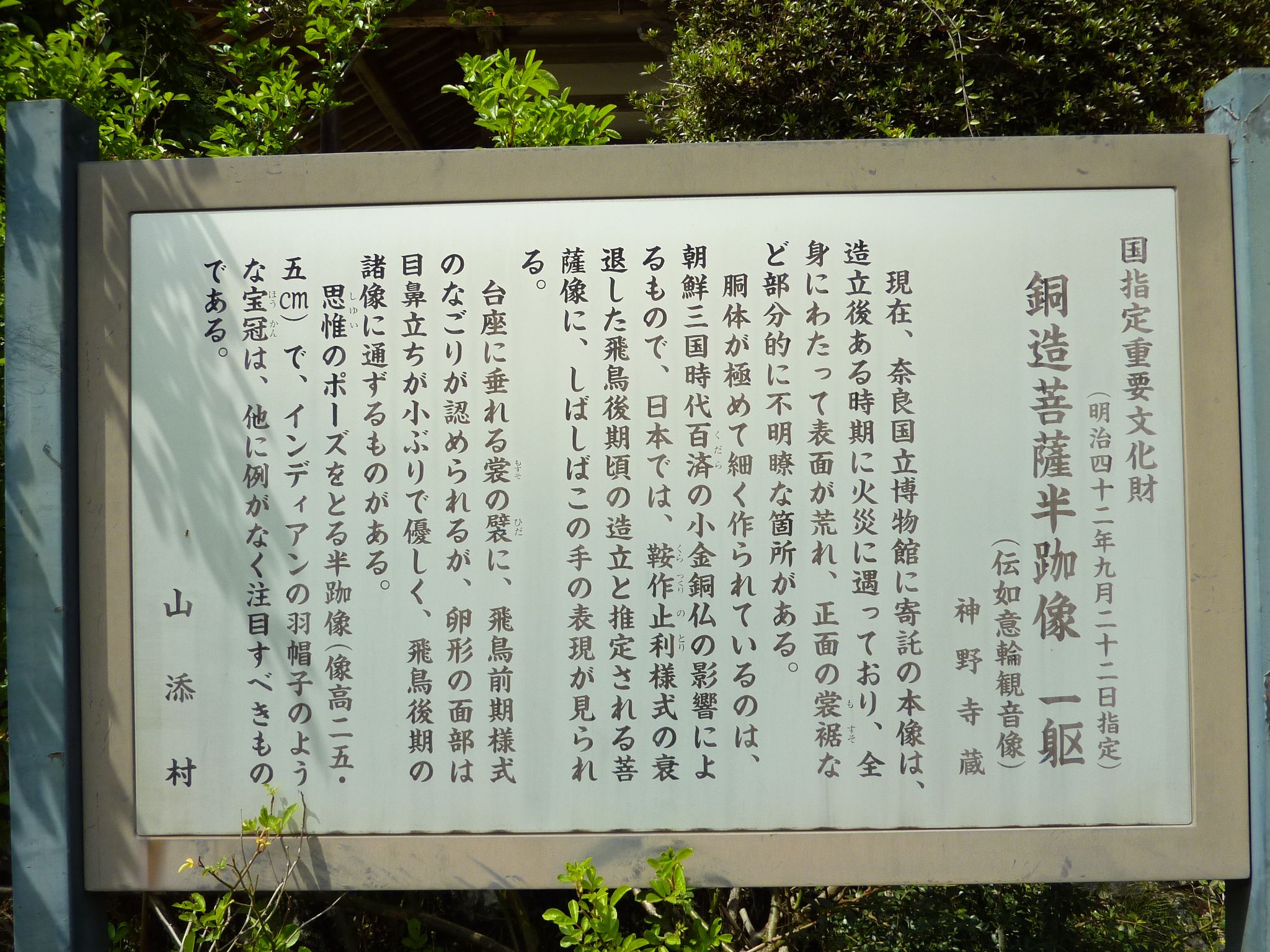 P1030541.JPG