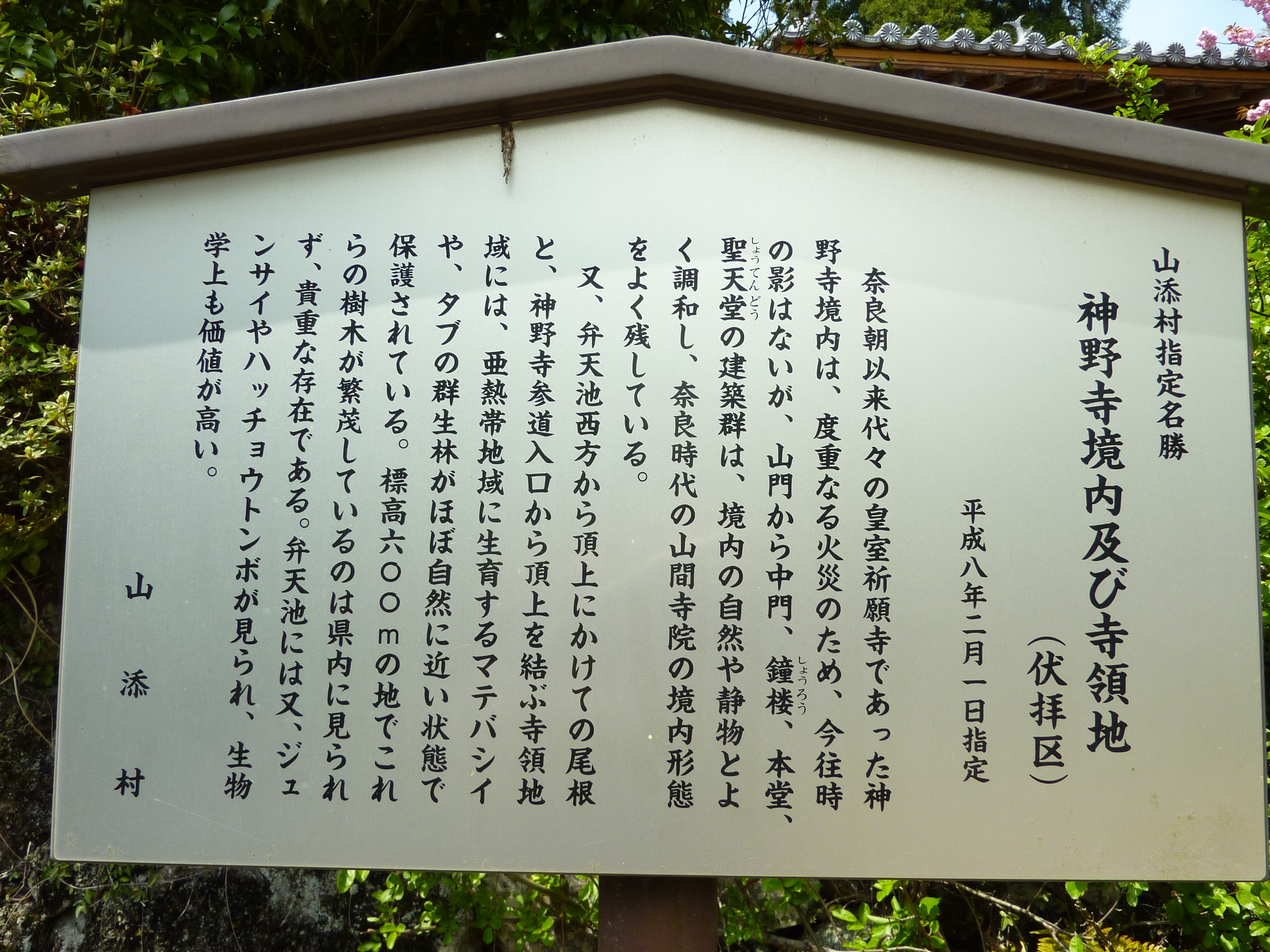 P1030542.JPG