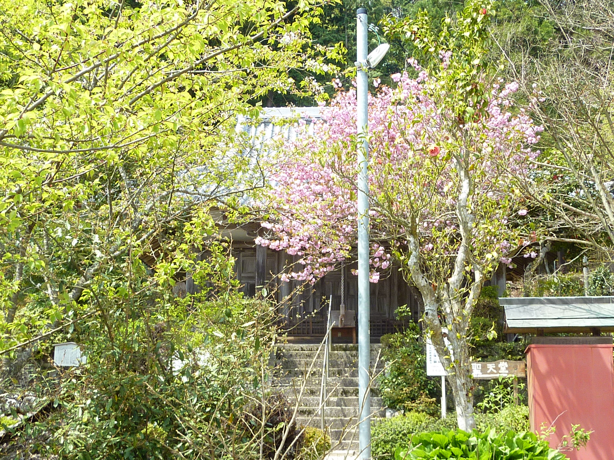 P1030544.JPG