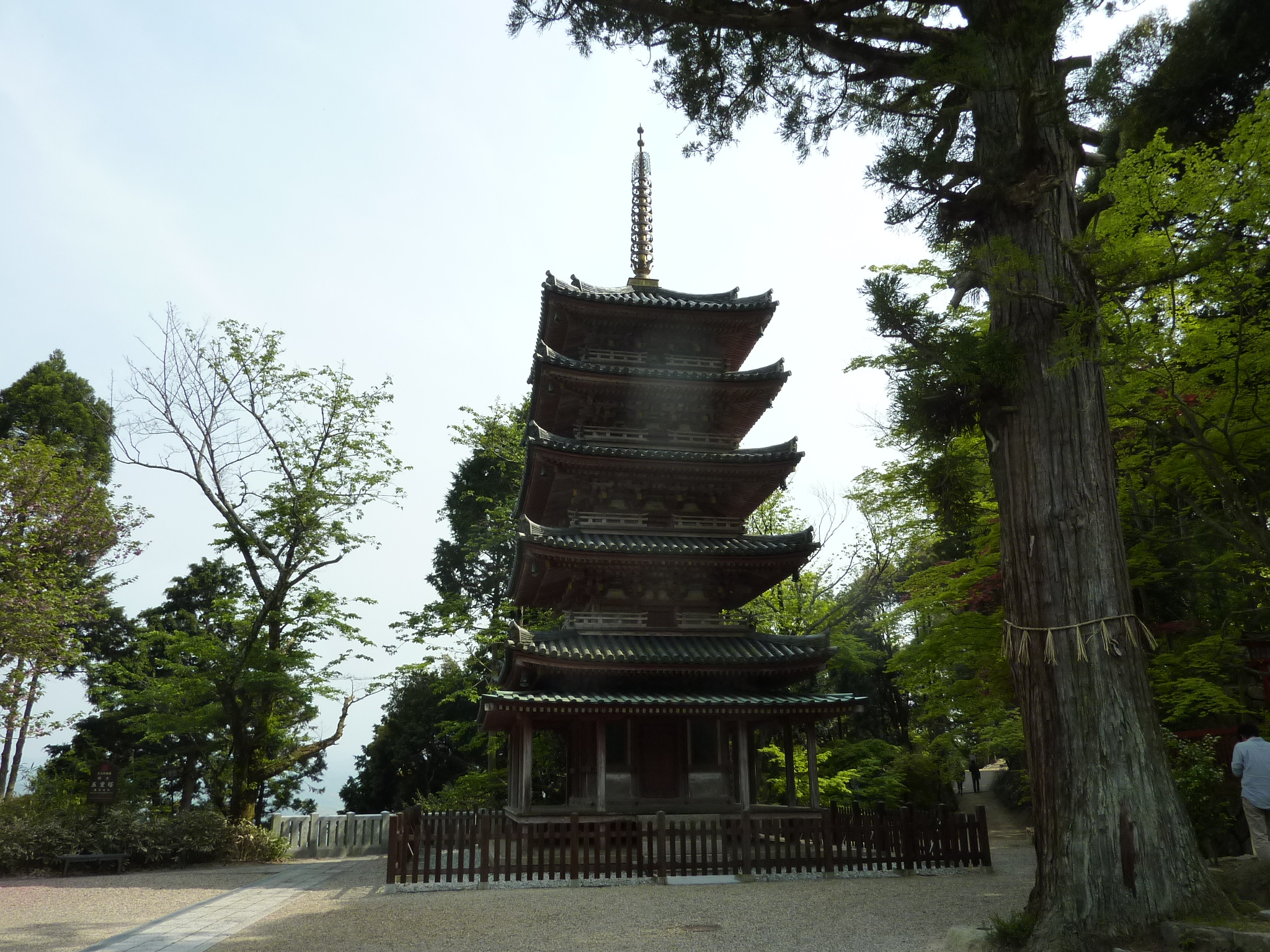 P1030553.JPG
