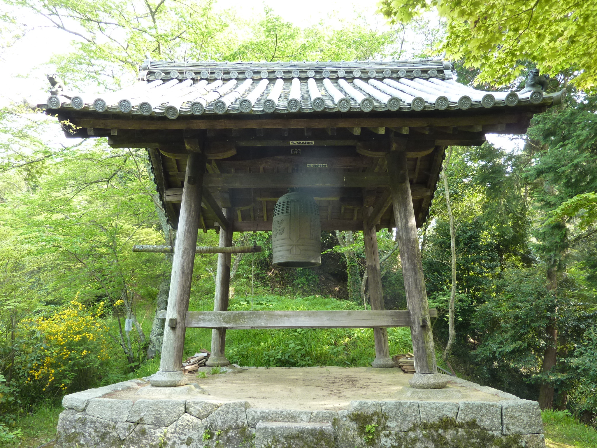 P1030567.JPG