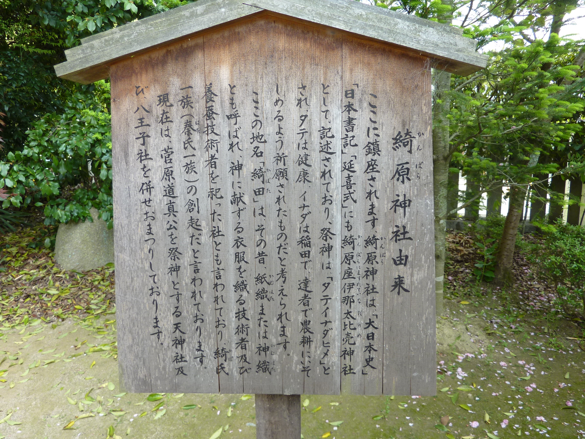 P1030574.JPG