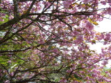 img0016.jpg