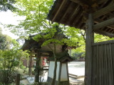 img0021.jpg