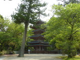 img0031.jpg