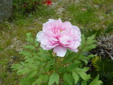 img0035.jpg
