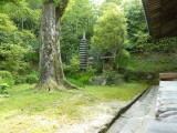 img0037.jpg