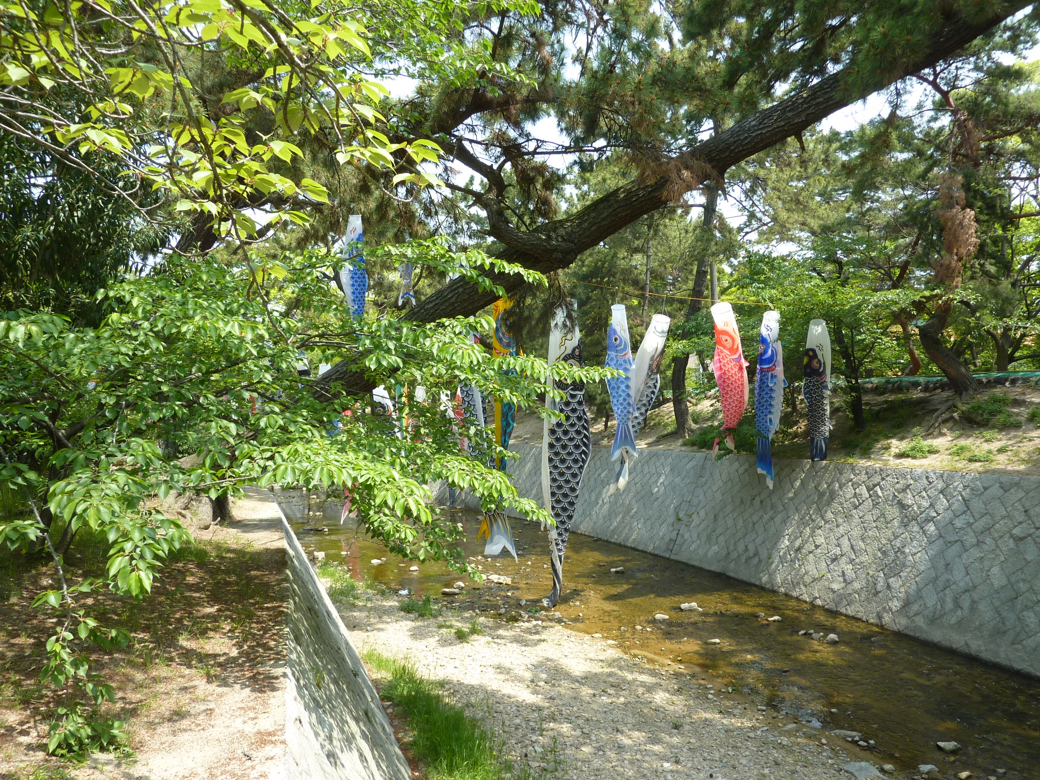 P1030580.JPG