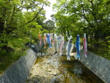 img0000.jpg