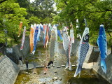 img0001.jpg
