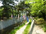 img0004.jpg