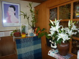img0008.jpg