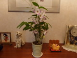 img0000.jpg