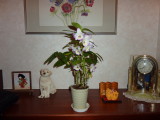 img0001.jpg