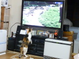 img0018.jpg